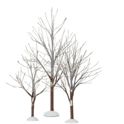 First Frost Trees