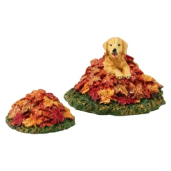 Harvest Fields Pup