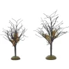 Midnight Moss Trees