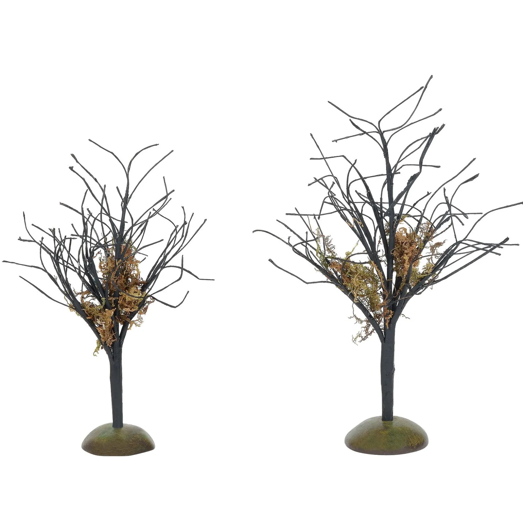 Midnight Moss Trees