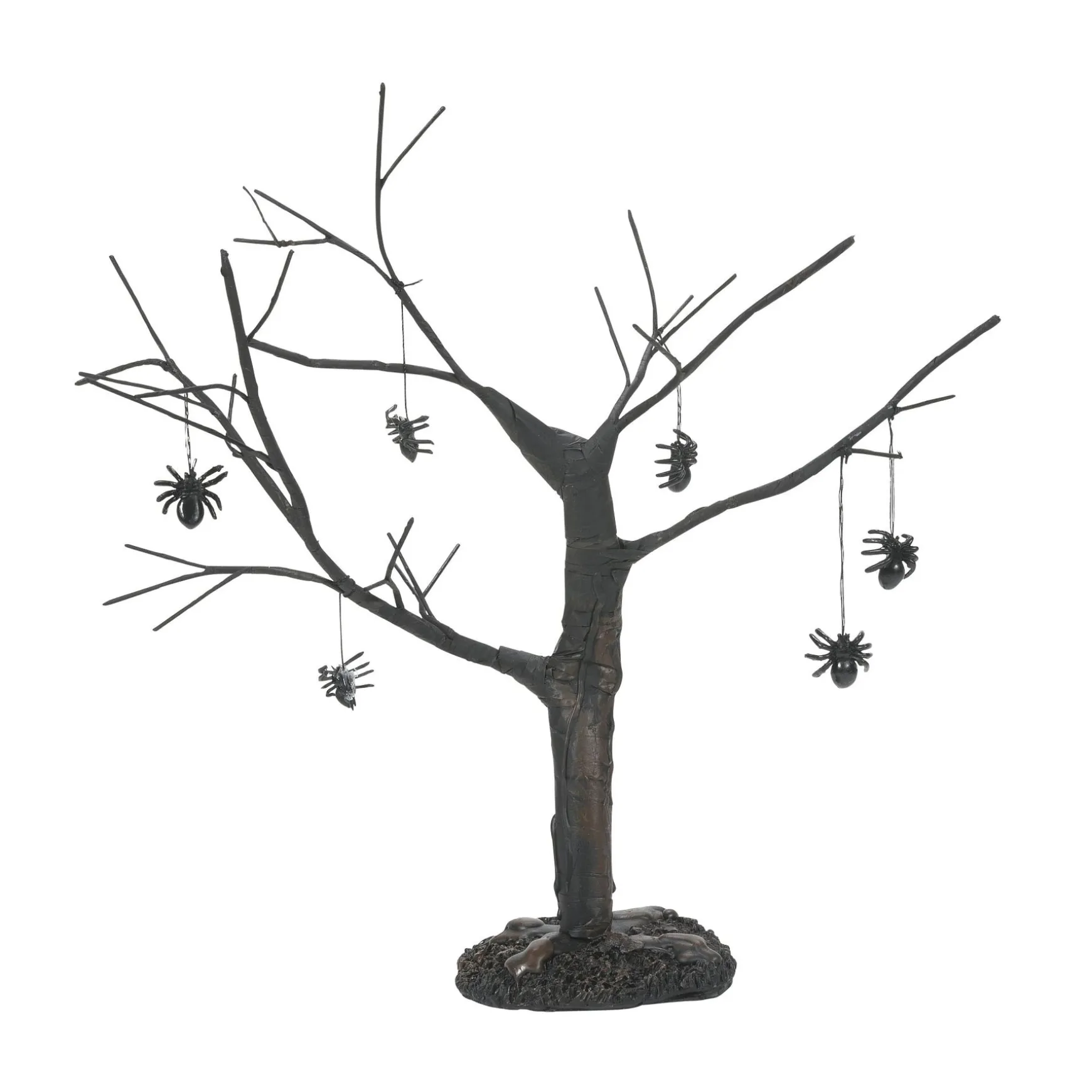 Spider Tree
