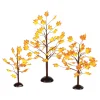 Village Autumn Maple Trees