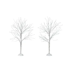 Winter Birch