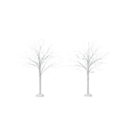Winter Birch
