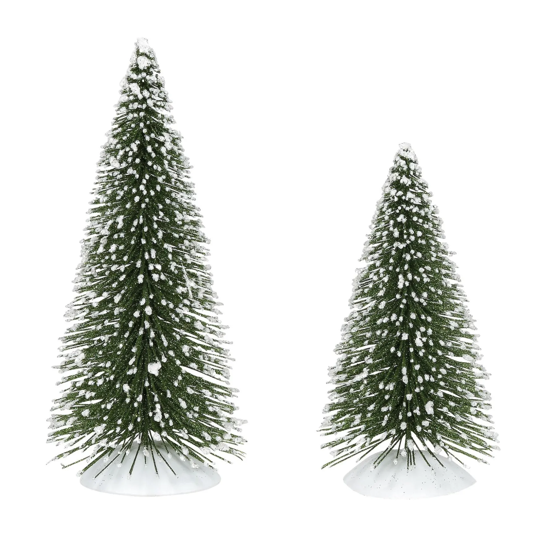 Woodsy Pines
